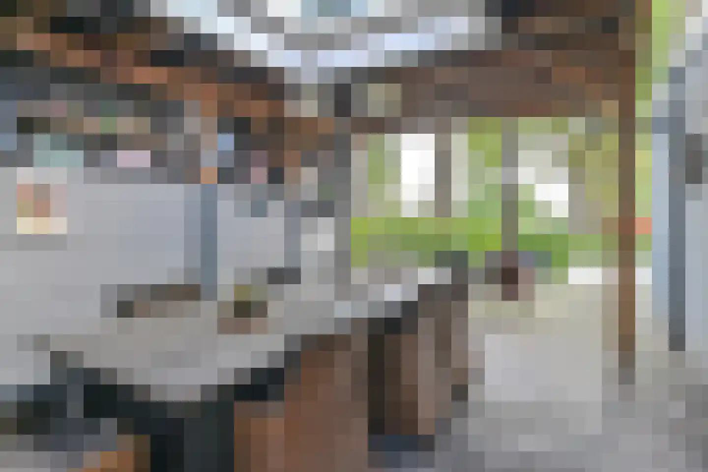 Witsenborgstraat 2 Hoogeveen thumbnail 55