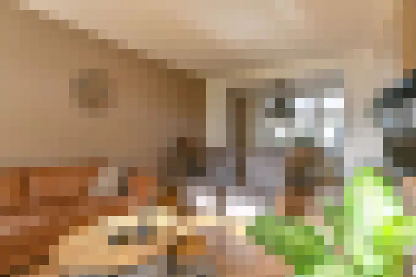 Witsenborgstraat 2 Hoogeveen thumbnail 8