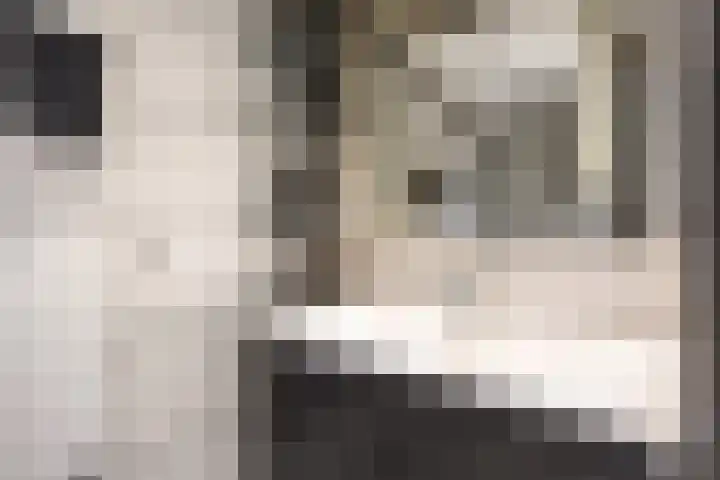 Witsenborgstraat 3 Bedum thumbnail 38