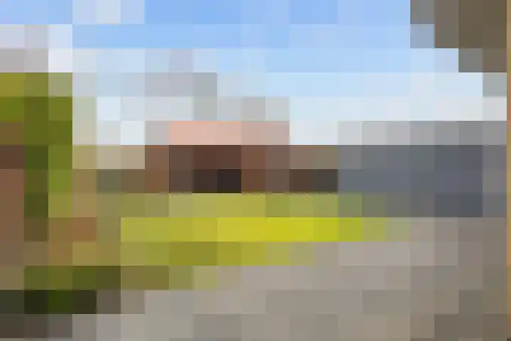 Witsenborgstraat 3 Bedum thumbnail 42