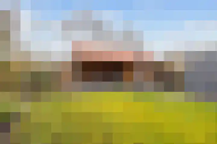 Witsenborgstraat 3 Bedum thumbnail 43