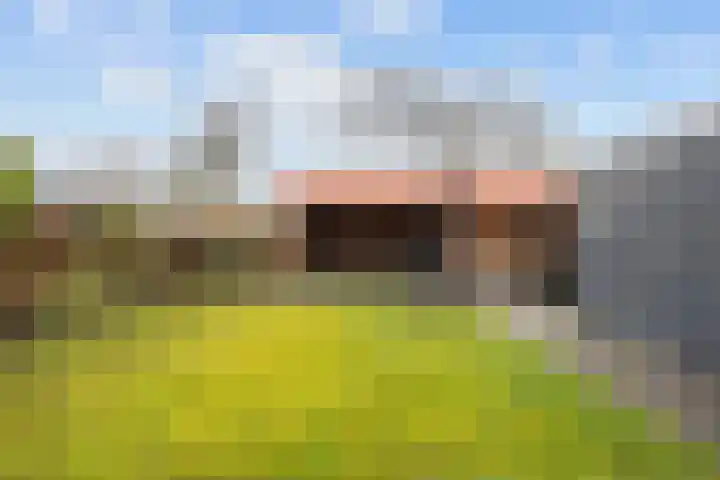 Witsenborgstraat 3 Bedum thumbnail 44