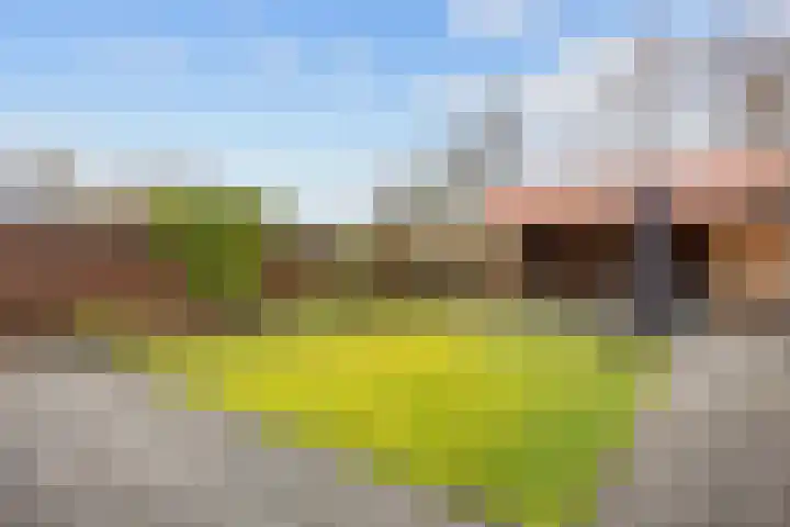 Witsenborgstraat 3 Bedum thumbnail 45