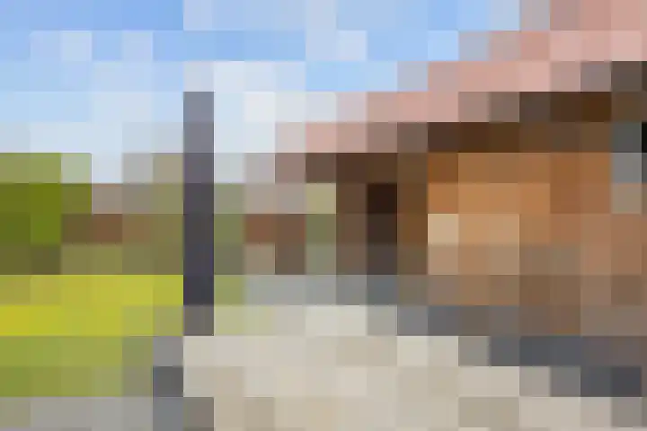 Witsenborgstraat 3 Bedum thumbnail 46