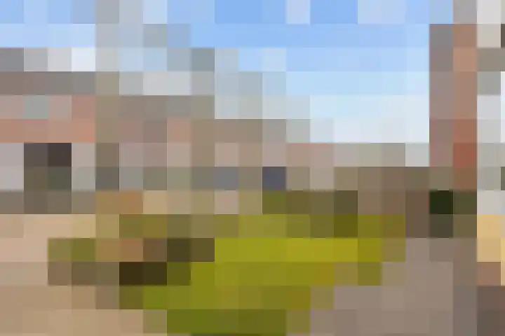 Witsenborgstraat 3 Bedum thumbnail 7