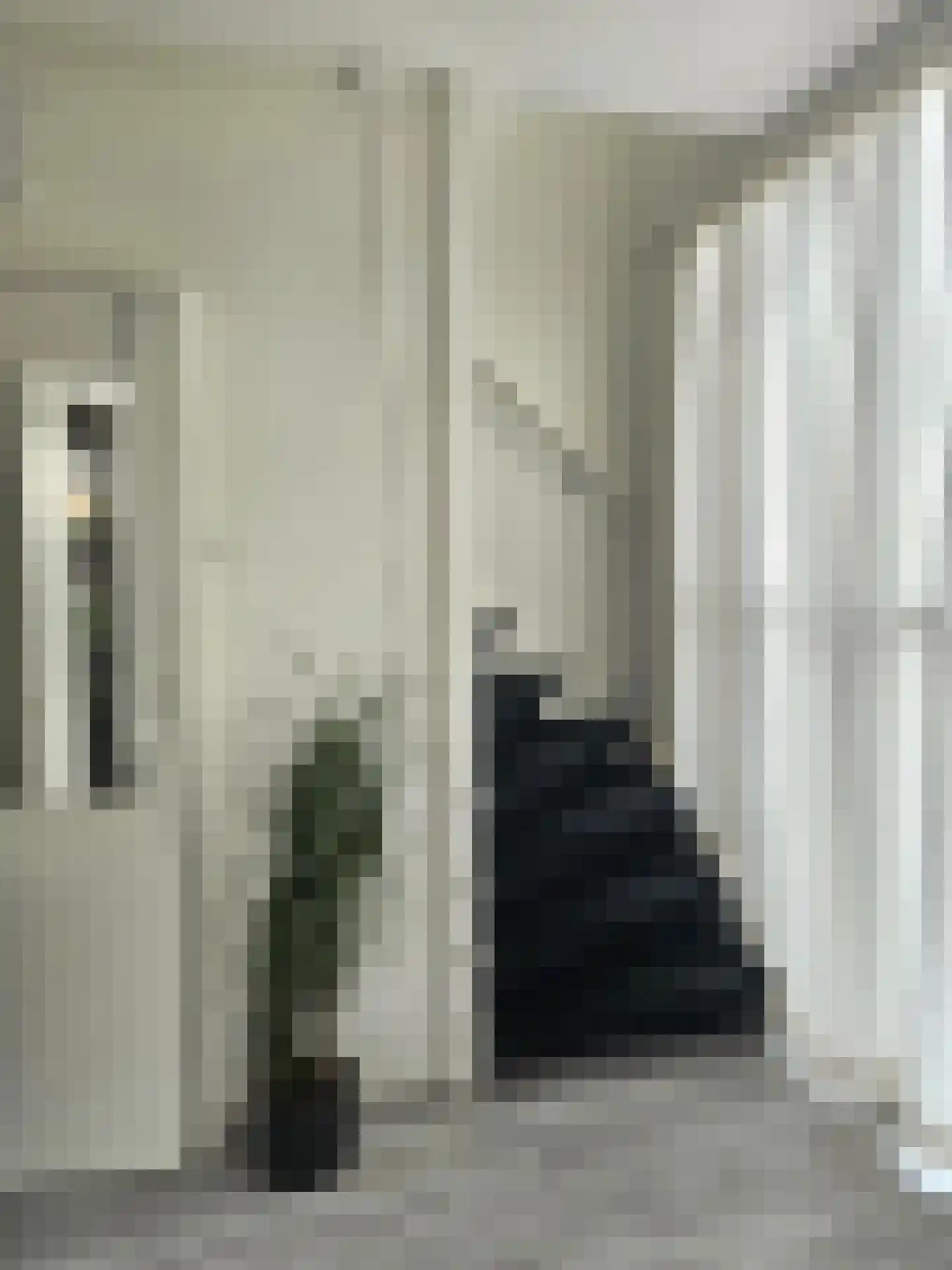 Witsenborgstraat 3 Hoogeveen thumbnail 13