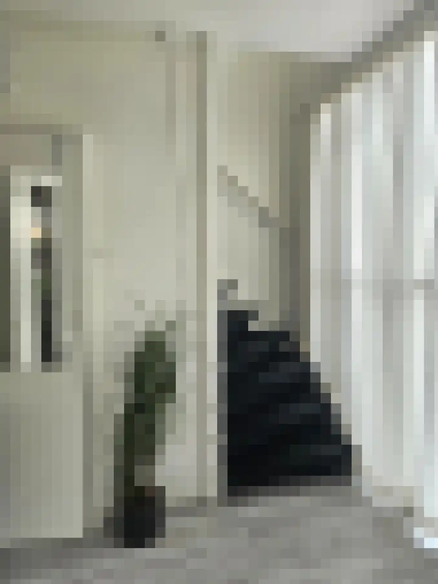 Witsenborgstraat 3 Hoogeveen thumbnail 13