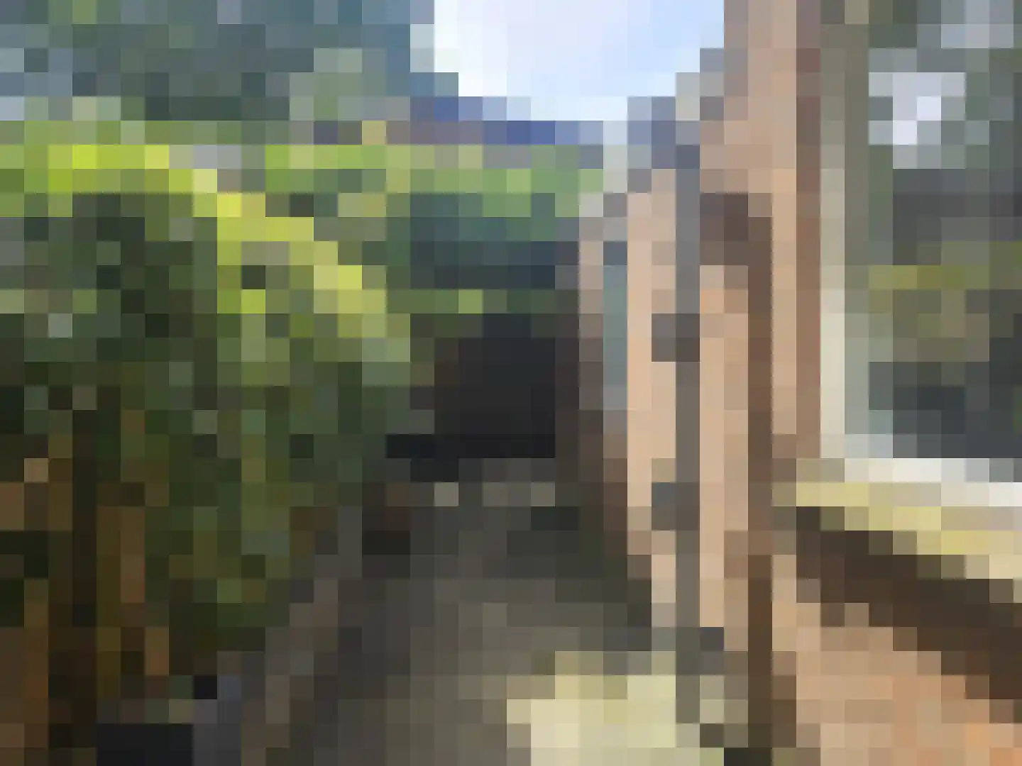 Witsenborgstraat 3 Hoogeveen thumbnail 21