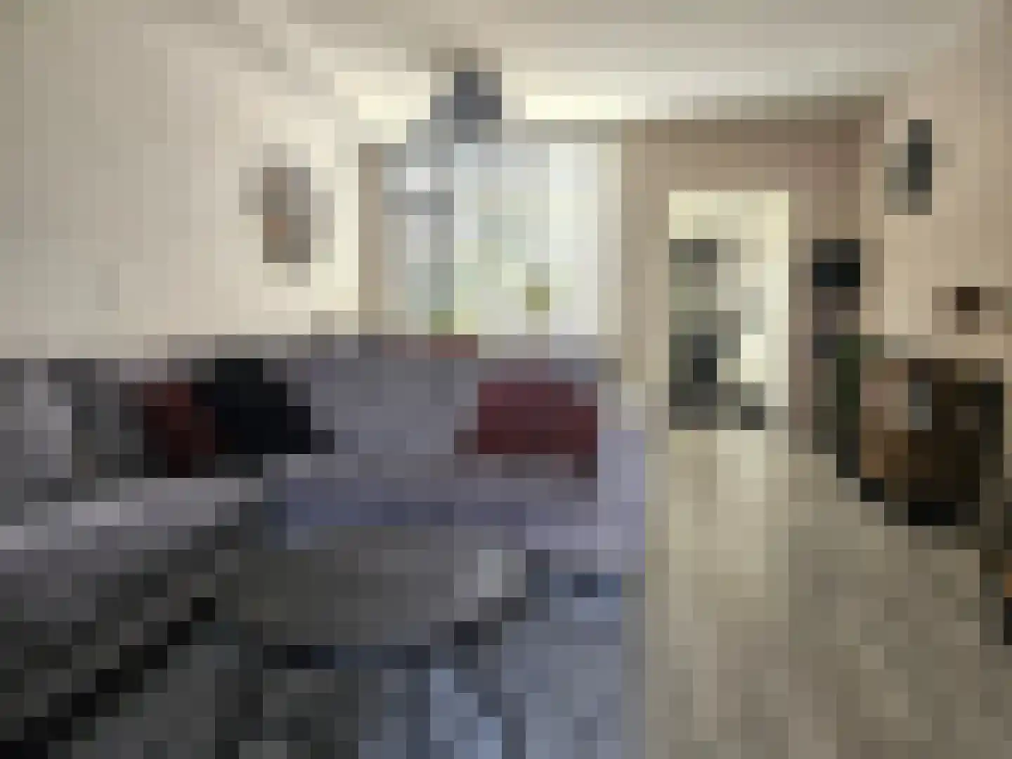 Witsenborgstraat 3 Hoogeveen thumbnail 4