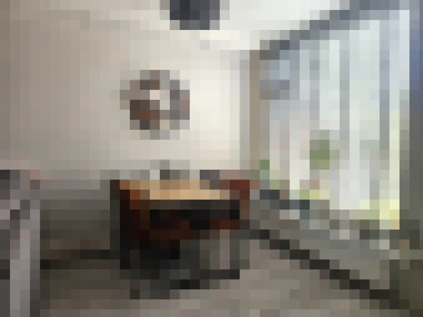 Witsenborgstraat 3 Hoogeveen thumbnail 5