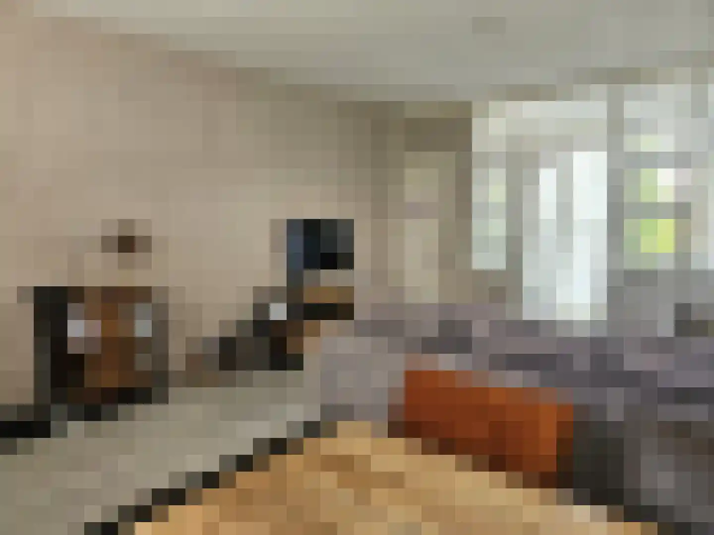 Witsenborgstraat 3 Hoogeveen thumbnail 6