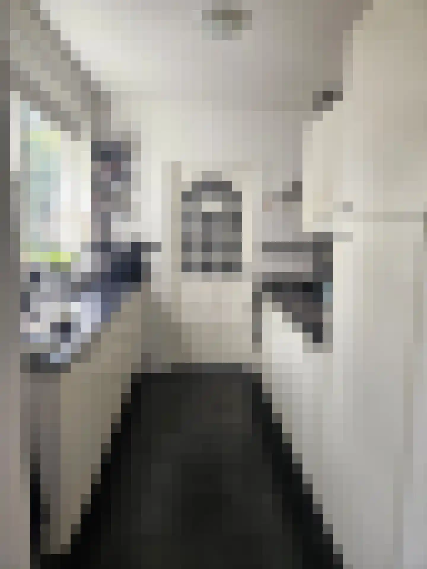 Witsenborgstraat 3 Hoogeveen thumbnail 8
