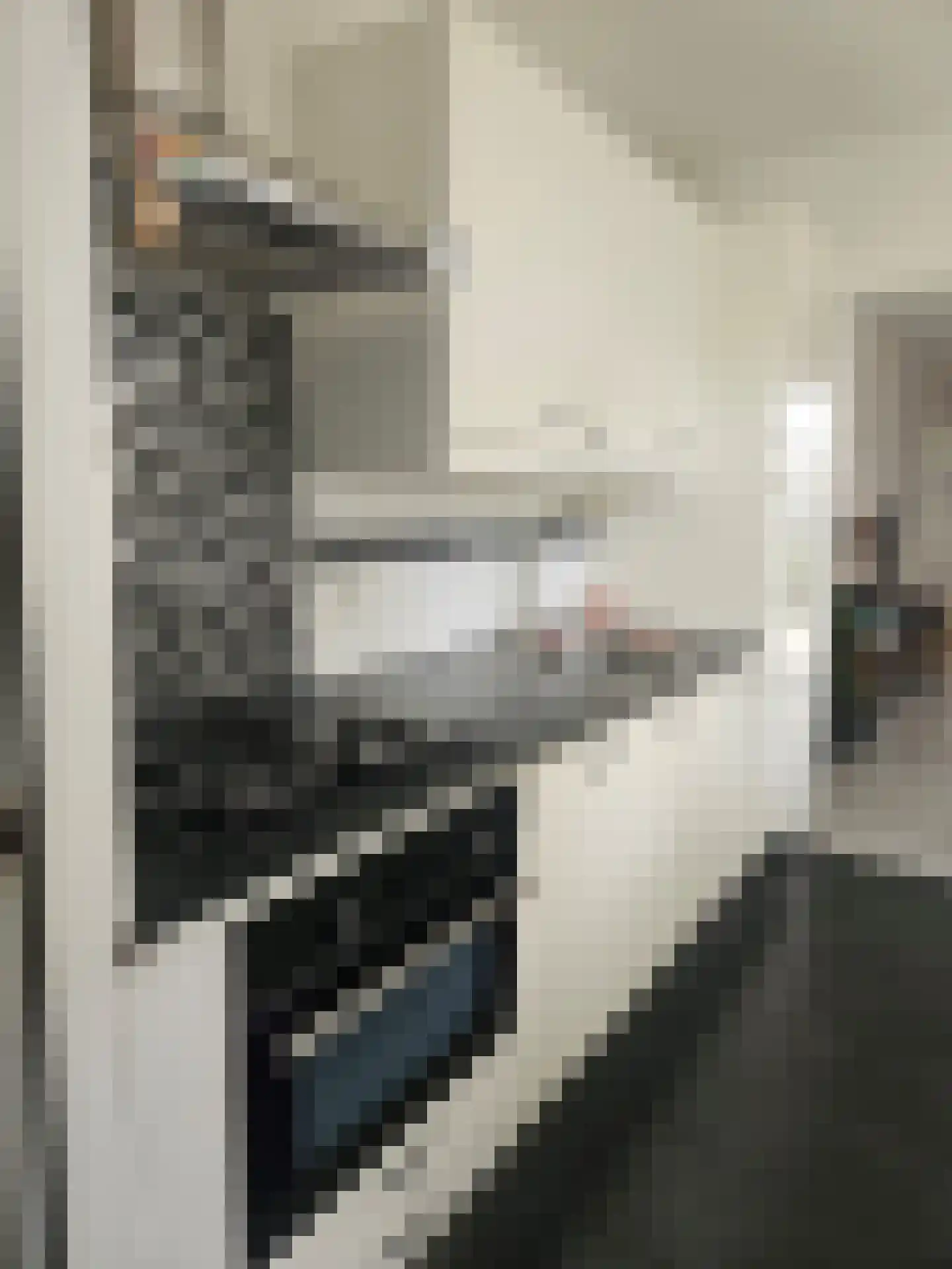 Witsenborgstraat 3 Hoogeveen thumbnail 9