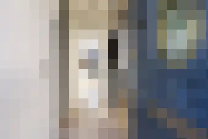 Witsenborgstraat 4 Bedum thumbnail 10