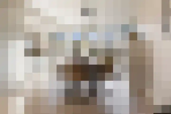 Witsenborgstraat 4 Bedum thumbnail 18