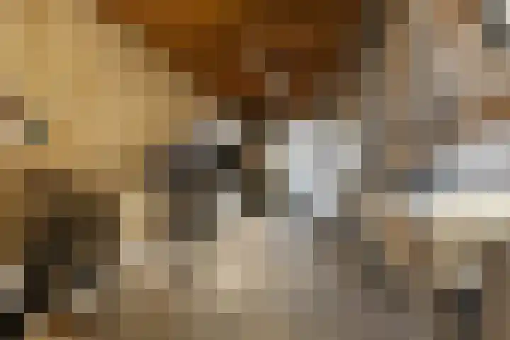 Witsenborgstraat 4 Bedum thumbnail 33