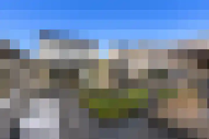 Witsenborgstraat 4 Bedum thumbnail 38