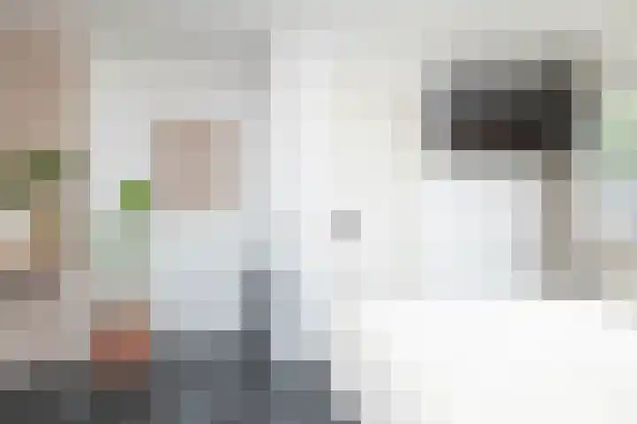 Witsenborgstraat 9 Hoogeveen thumbnail 38
