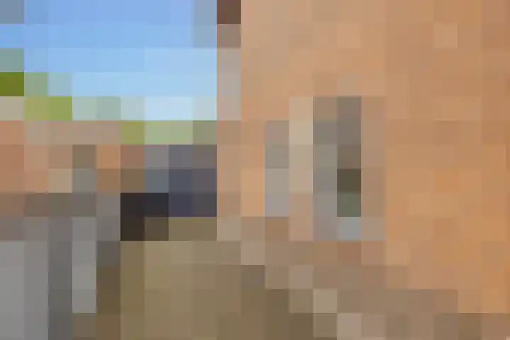 Witsenborgstraat 9 Hoogeveen thumbnail 50