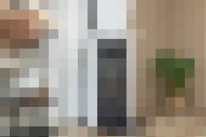 Witsenborgstraat 9 Hoogeveen thumbnail 9