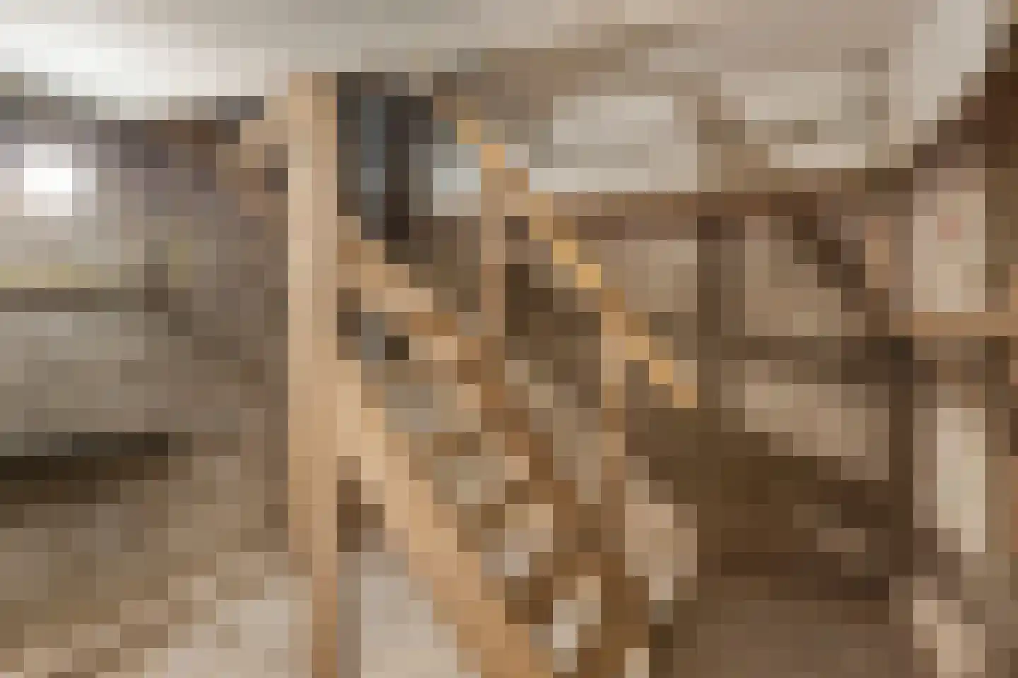 Witsenburgselaan 44 Nijmegen thumbnail 22