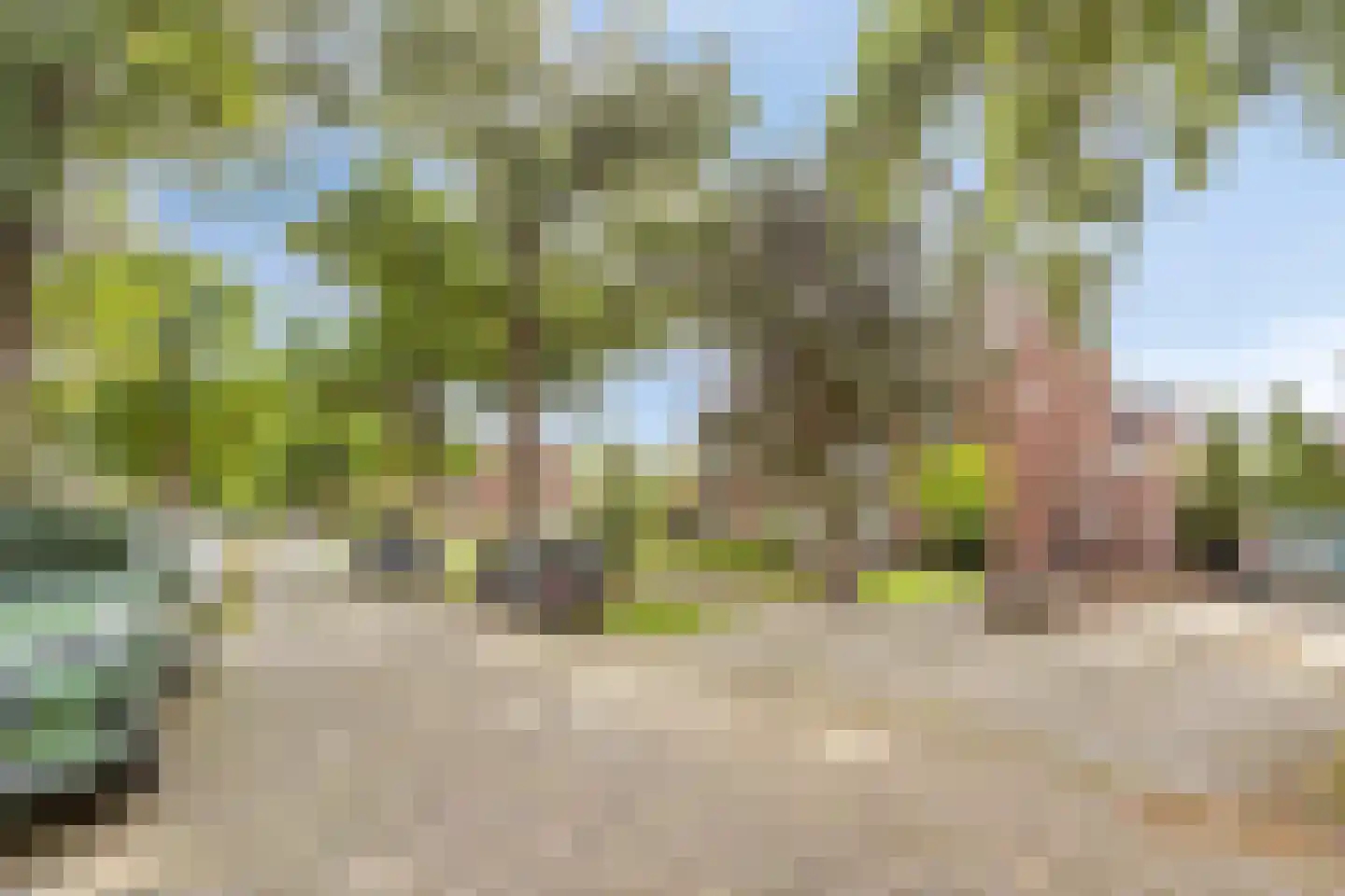 Witsenburgselaan 44 Nijmegen thumbnail 28