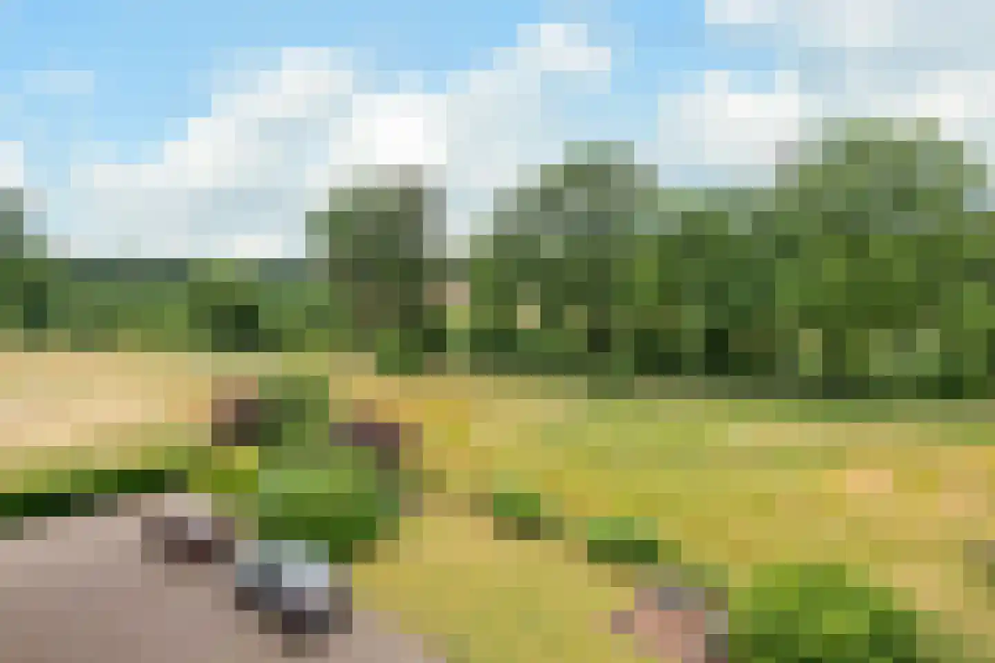 Witsenstraat 12 3 Arnhem thumbnail 23