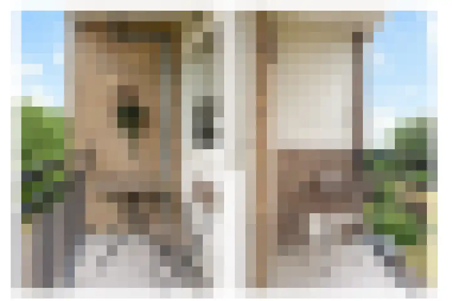 Witsenstraat 12 3 Arnhem thumbnail 6