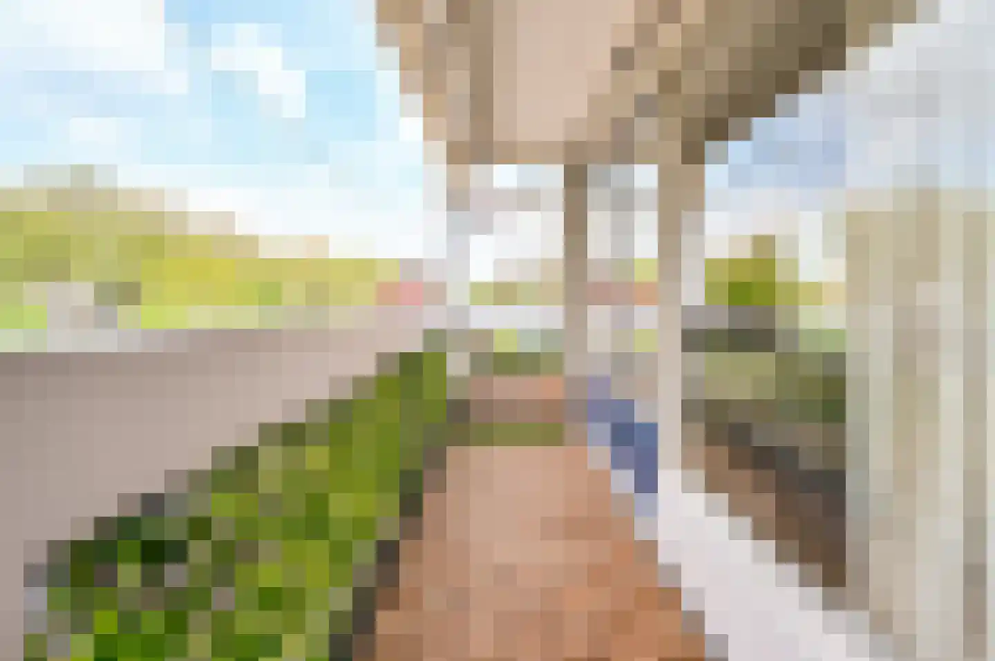 Witsmeerstraat 12 Hoofddorp thumbnail 19