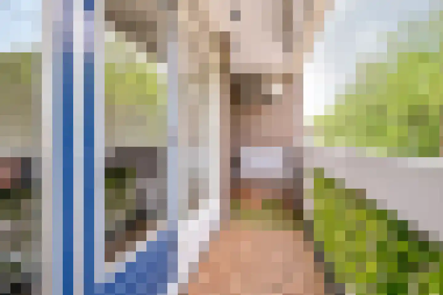 Witsmeerstraat 12 Hoofddorp thumbnail 20