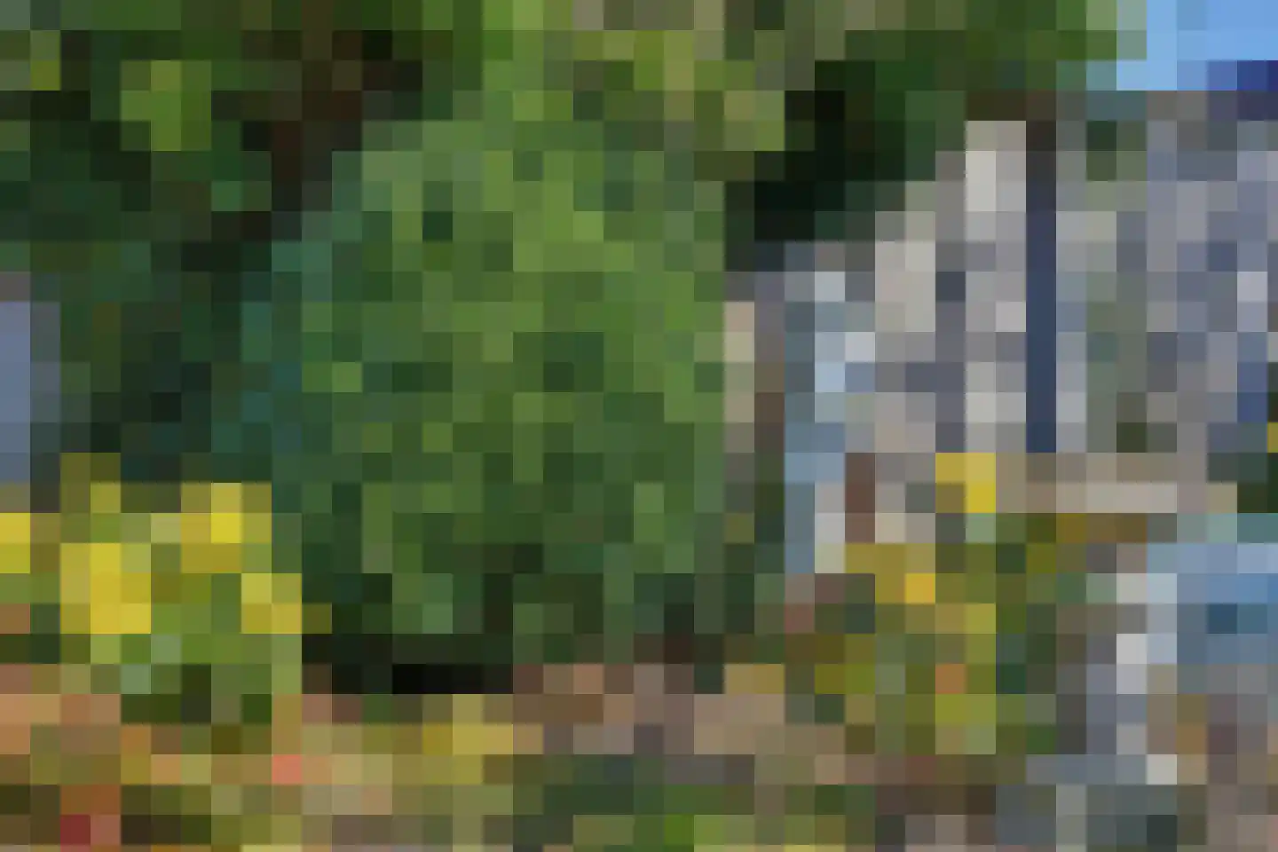 Witstoom 14 Winterswijk thumbnail 34