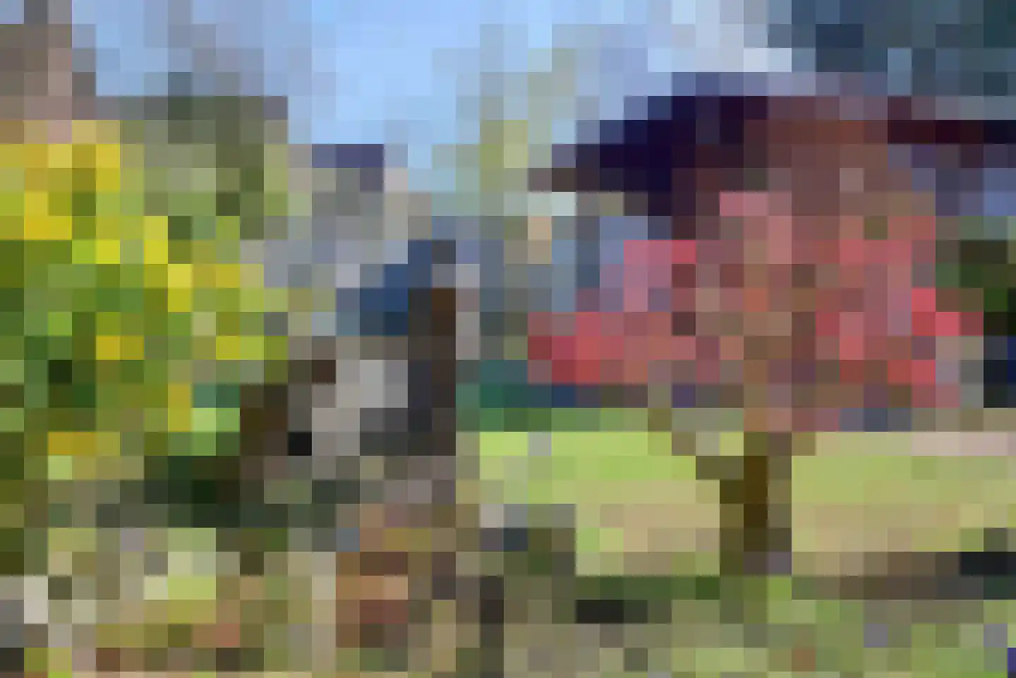 Witstoom 14 Winterswijk thumbnail 36
