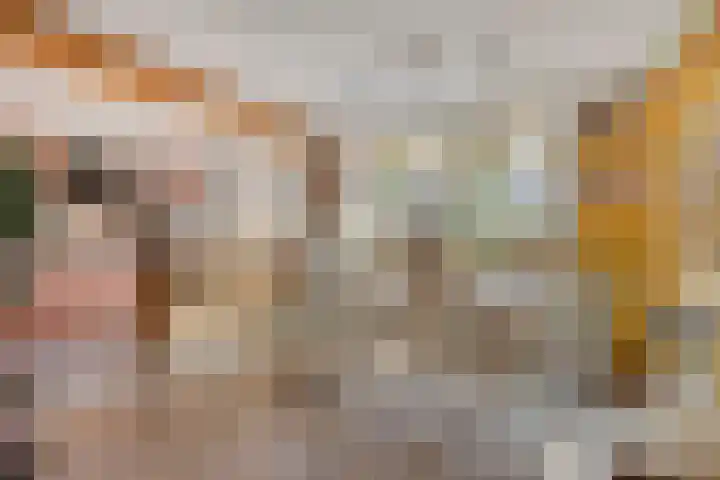 Witte Baan 21 Prinsenbeek thumbnail 10