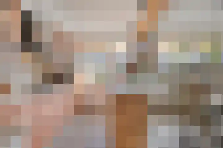 Witte Baan 21 Prinsenbeek thumbnail 11