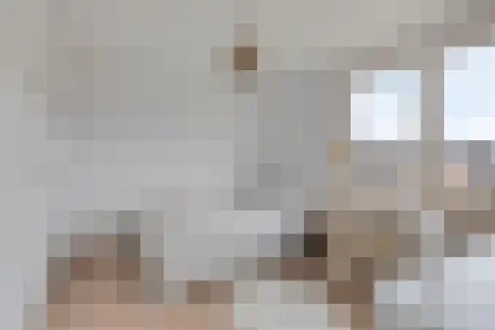 Witte Baan 21 Prinsenbeek thumbnail 18