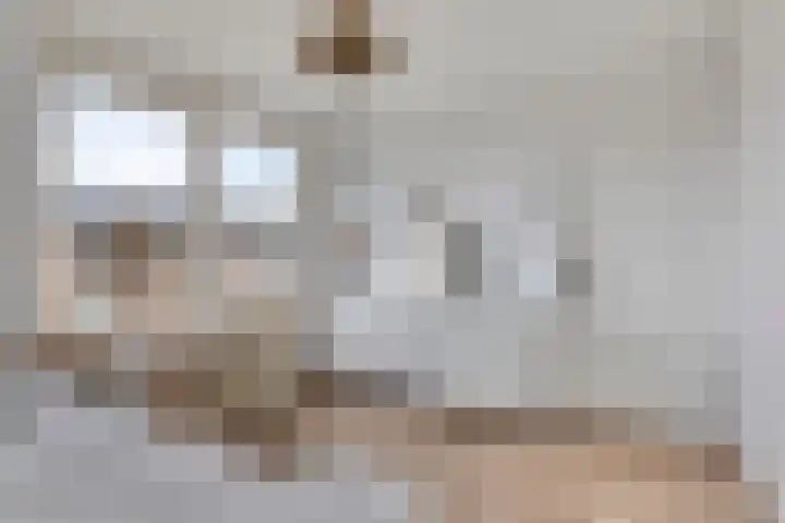 Witte Baan 21 Prinsenbeek thumbnail 19