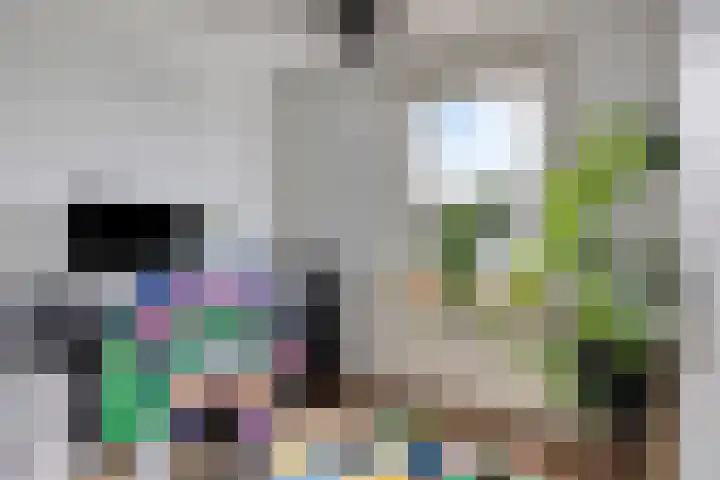 Witte Baan 21 Prinsenbeek thumbnail 20