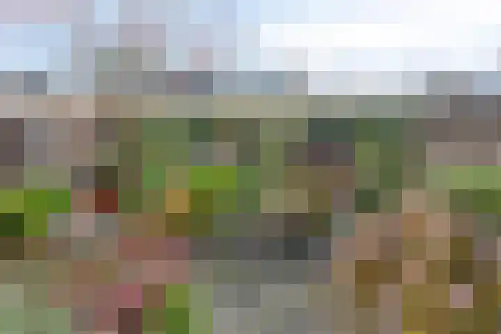 Witte Baan 21 Prinsenbeek thumbnail 26