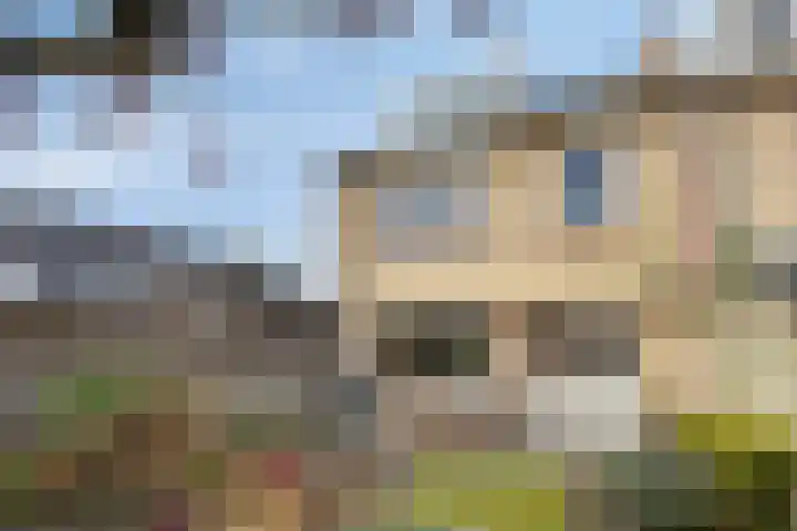 Witte Baan 21 Prinsenbeek thumbnail 27