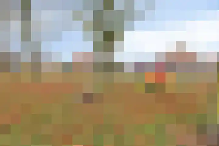 Witte Baan 21 Prinsenbeek thumbnail 30
