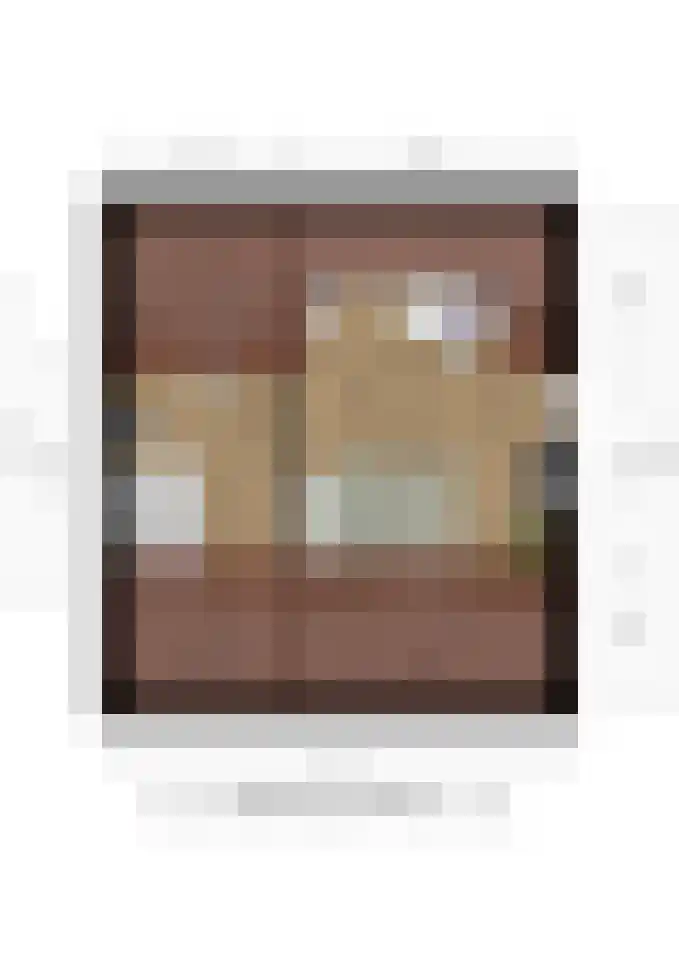 Witte Baan 21 Prinsenbeek thumbnail 34