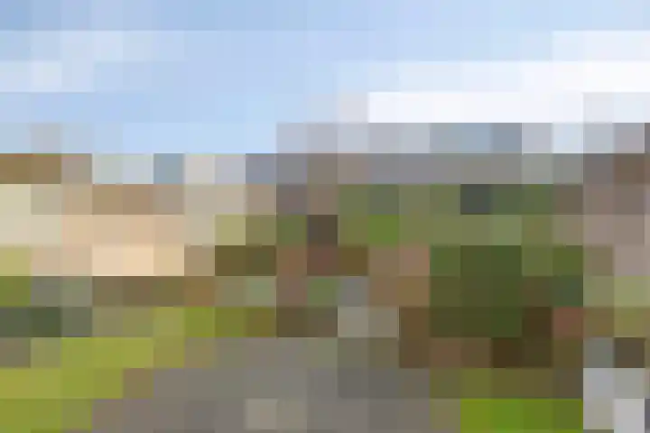 Witte Baan 21 Prinsenbeek thumbnail 4