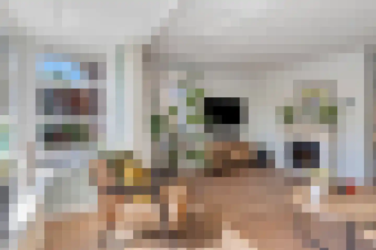 Witte Dam 11 Westwoud thumbnail 13