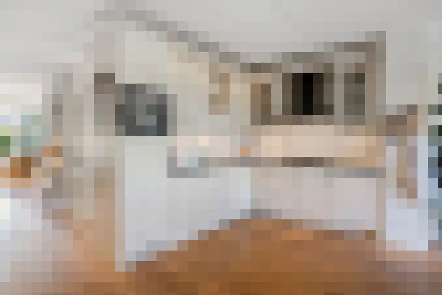 Witte Dam 11 Westwoud thumbnail 19