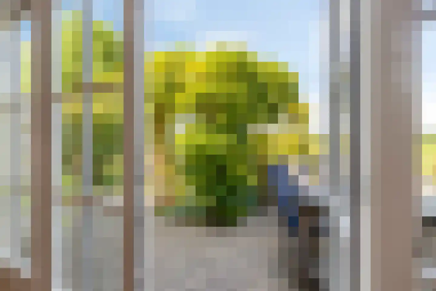 Witte Dam 11 Westwoud thumbnail 21