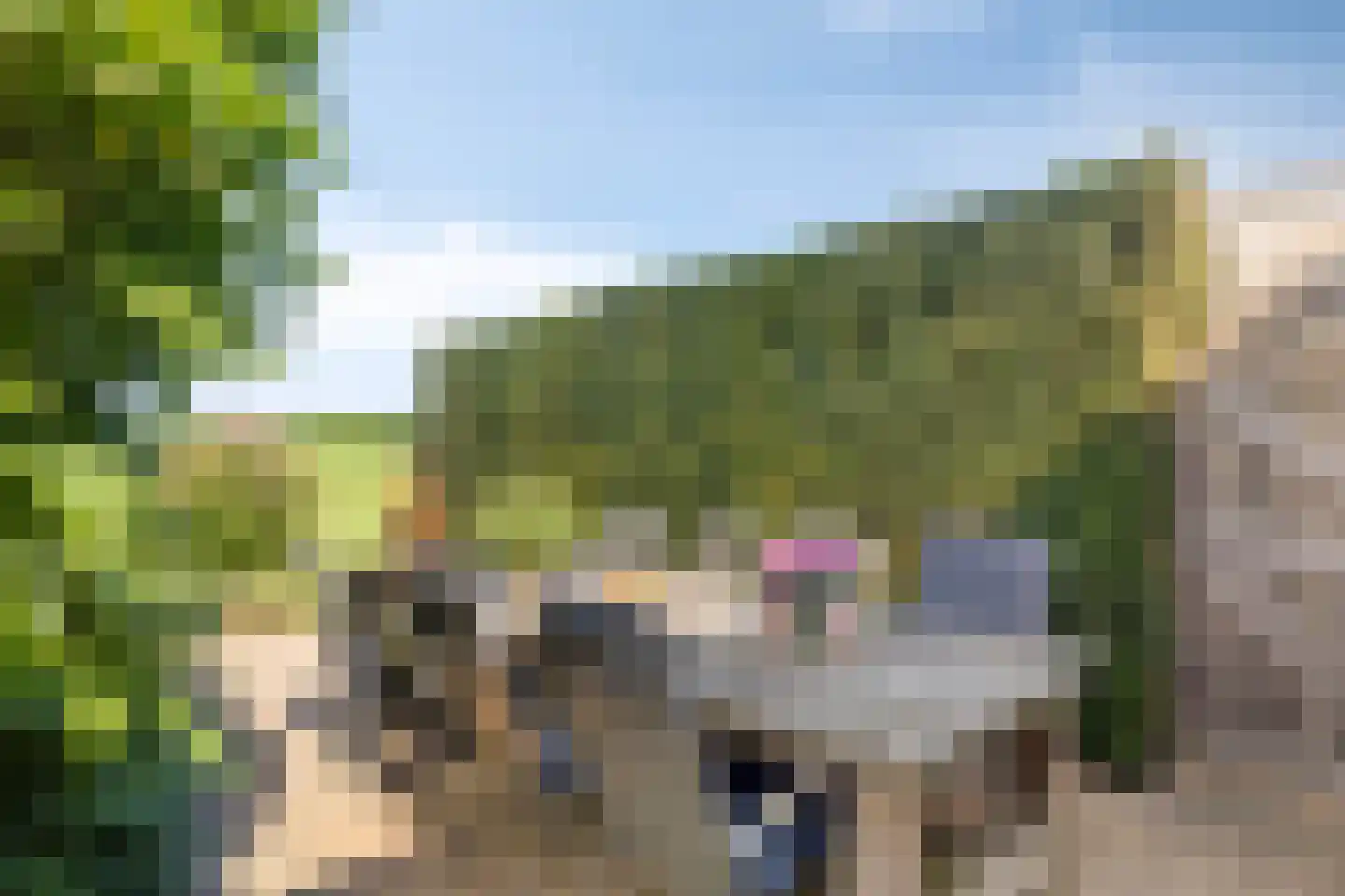 Witte Dam 11 Westwoud thumbnail 22