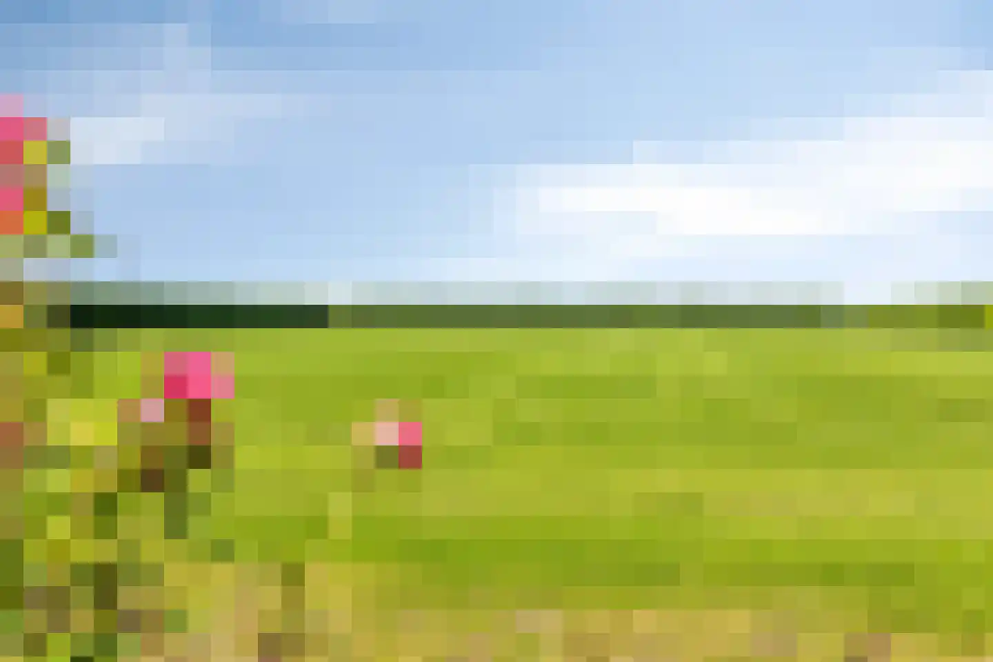 Witte Dam 11 Westwoud thumbnail 23