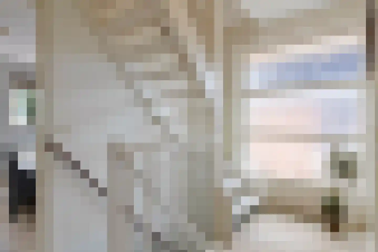 Witte Dam 11 Westwoud thumbnail 27