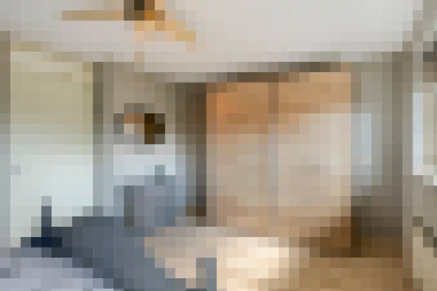 Witte Dam 11 Westwoud thumbnail 30