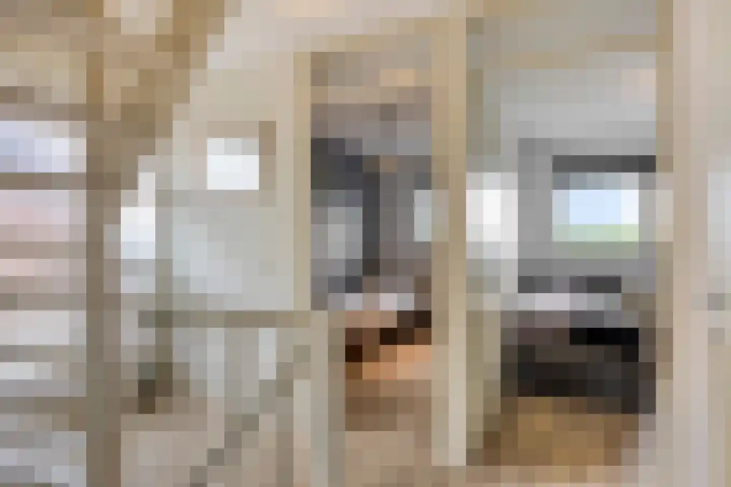 Witte Dam 11 Westwoud thumbnail 32
